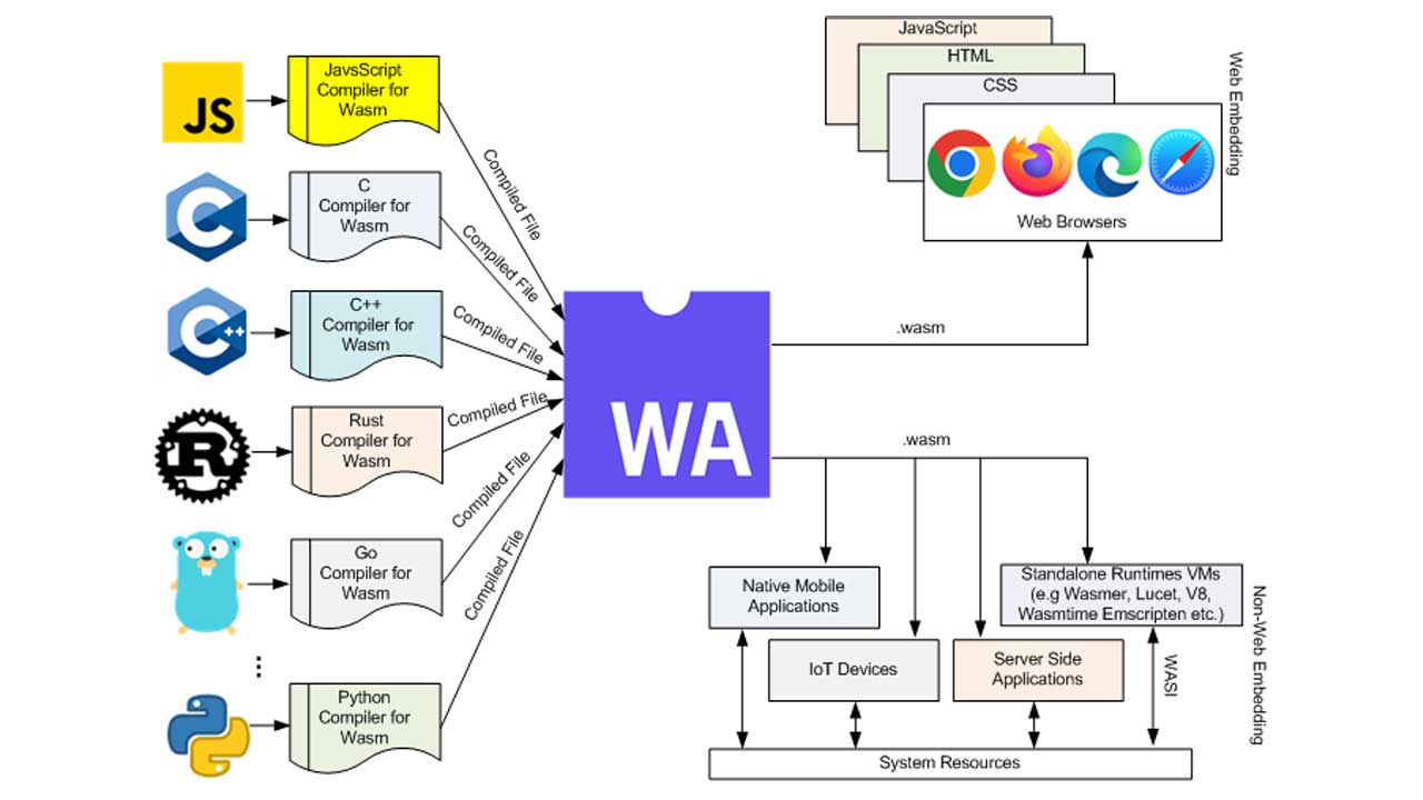 1785454492102-8webek.jpg